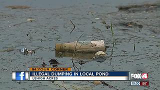 Illegal dumping site in Lehigh Acres causes concern