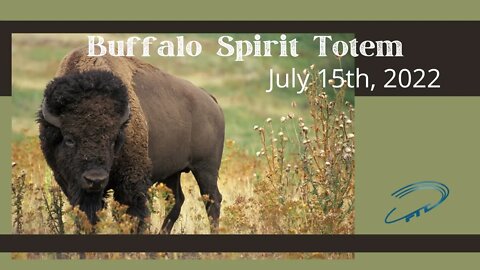 Bison Totem Animal - Are They Starseeds Too