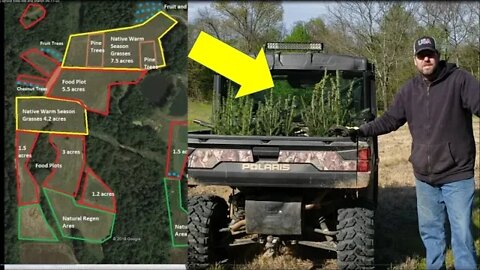 Planting Spruce trees for wildlife conservation to improve your land, Illinois Vlog