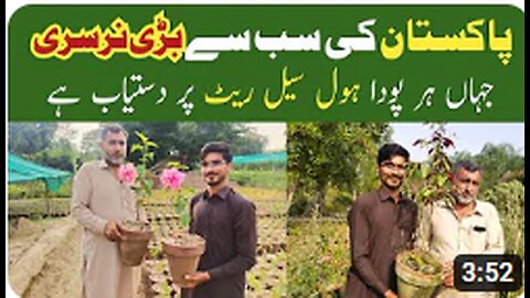 Pakistan's Biggest Plant Nursery _ Plants wholesale market _ Nursery Tour _ #nursery #pakistan