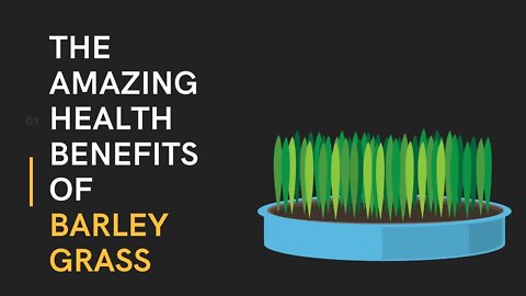 The Amazing Health Benefits of Barley Grass