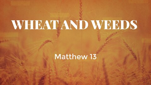 Wheat and Weeds - Pastor Jeremy Stout