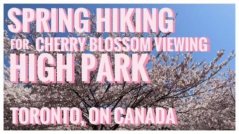 Cherry Blossom Viewing at High Park | Happy Mother's Day 🌸🌸🌸 | Toronto, ON Canada | Hiking | Sakura