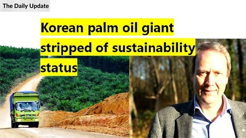 Korindo: Korean palm oil giant stripped of sustainability status | The Daily Update