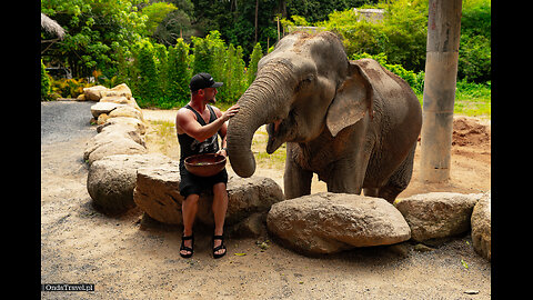 ❯ THAILAND 🐘 Phangan Elephant Sanctuary - Kho Pha Ngan ❯ Wycieczki z OndaTravel.pl