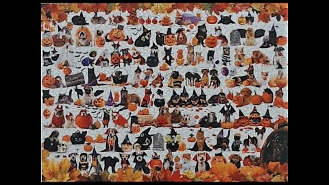 Halloween Pets Jigsaw Puzzle Time Lapse