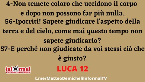 LUCA 12