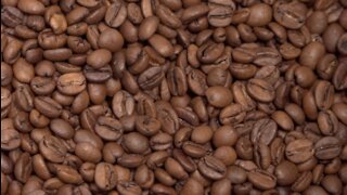 Coffee prices on the rise, San Diego shops feeling impacts
