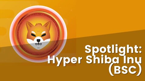 Leicester Provides An Update On Hyper Shiba Inu (BSC)