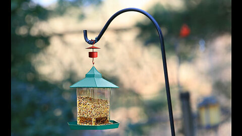 EAWONGEE 4 Packs Ant Moat for Hummingbird Feeders, Hummingbird Feeder Accessory Set Outdoor, An...