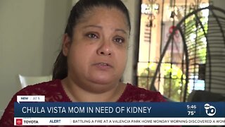 'They need me': Chula Vista single mother in need of kidney transplant