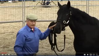 Discussing & Explaining Monty Roberts Join Up - The Good, Bad & Hard Truths