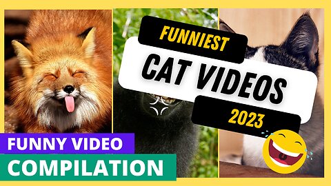 Top Funny Animal Videos 2023 #rumble