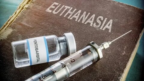 Initial comments on euthanasia