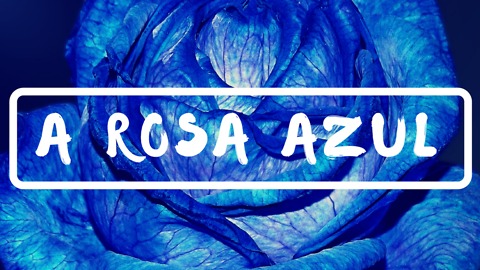 A Rosa Azul: uma linda história inspiradora