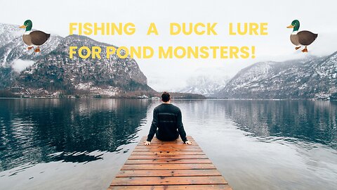 Fishing a Duck Lure for Pond MONSTERS!