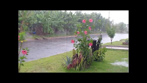 BARULHO DE CHUVA ⛈ PARA RELAXAR E DESCANSAR