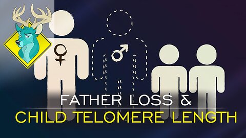 TL;DR - Father Loss and Child Telomere Length [21/Oct/17]