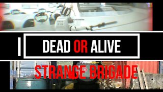 Dead Or Alive - Strange Brigade