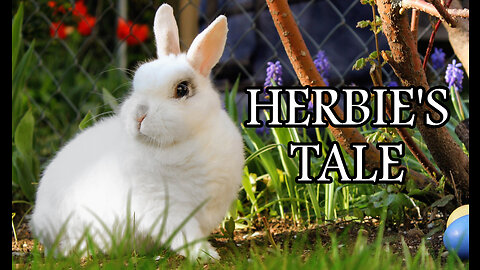 Herbie's Tale – Bunny Rabbit gets Better!