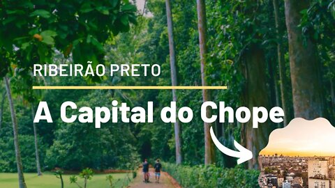 RIBEIRÃO PRETO - SP | Visão Aérea Feita Por Drones