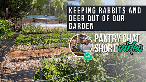 Keeping Rabbits & Deer Out of the Garden | Pantry Chat Podcast SHORT