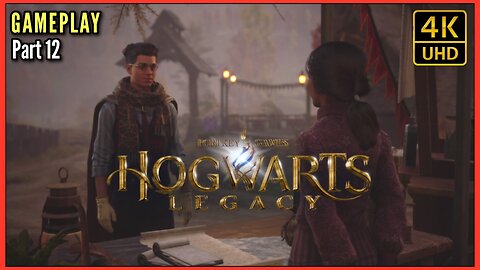 Hogwarts Legacy Gameplay (Part 12)