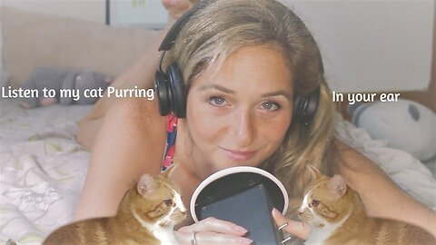 ASMR with my CAT 😺 l Extreme PURRING, 🥰 WHISPERING some fun facts about cats. FAST and Relaxing. 😴💆