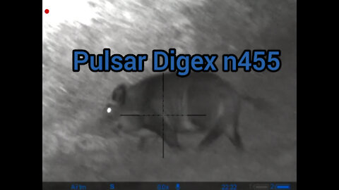 Pulsar Digex n455, Wildboar and Red stag