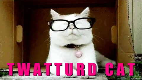 THE TWATTURD CAT REPORT