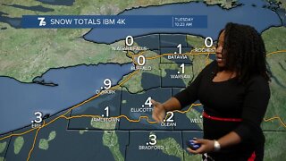 7 Weather Forecast 12 pm, Update, Tuesday, February 8