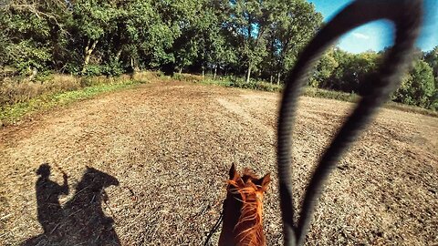Bareback Cajun Horse a few Miles then Saddled 🐎
