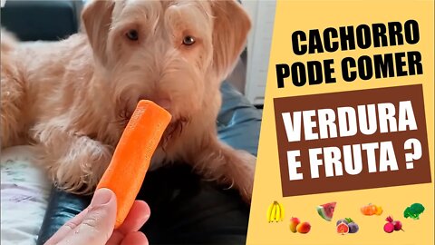 Cachorro pode comer verdura e fruta ?