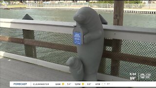 Manatee viewing center reopens