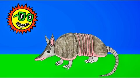 Itsy Bitsy Armadillo | Nursery Rhymes & Songs For Kids