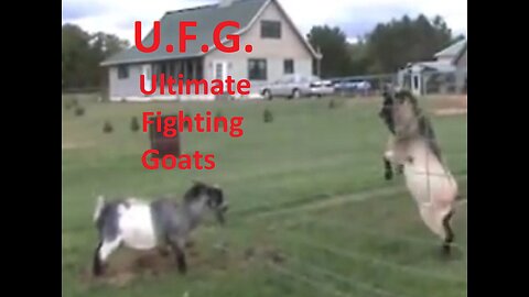 Crash of the Titans-UFG (Ultimate Fighting Goats)