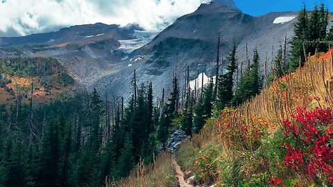 Mount Hood Wilderness Timberline Loop (NW Quadrant Day-Hike) - Arriving Elk Cove Zone! | Oregon | HD