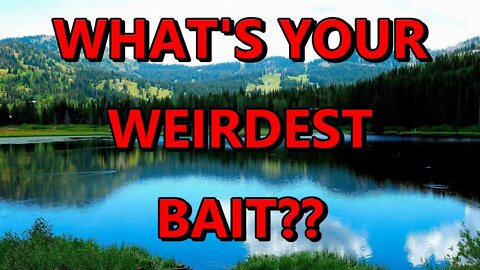 What's the weirdest bait that you caught a fish with? Fish stories from the viewers!!!