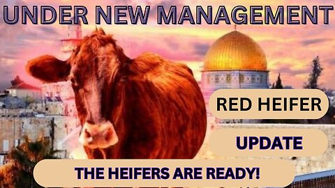 RED HEIFER CONFERENCE | MARCH 27TH | TEMPLE INSTITUTE | LAST DAYS