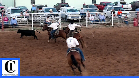 Stray Gathering - 2021 Fort Sumner WRCA Ranch Rodeo | Saturday