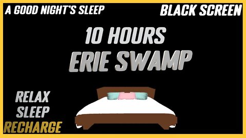 Erie Swamp Sounds| A Good Night's Sleep