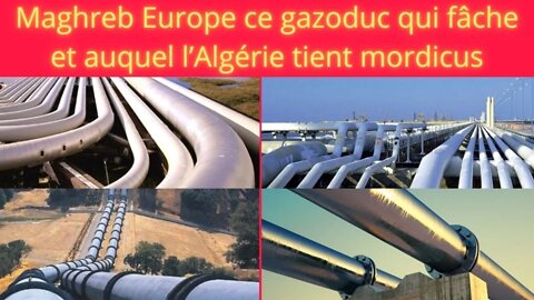 Maghreb Europe ce gazoduc qui fâche et auquel l’Algérie tient mordicus - nightly news