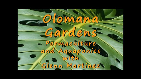 Olomana Gardens - Permaculture and Aquaponics [2009 - Al Cloutier]