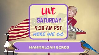 Saturday *LIVE* Mammalian Birds Edition