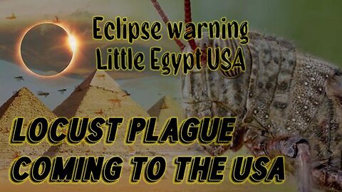 Locust Plague Coming to USA - We are Little Egypt Warning