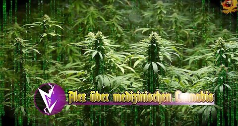 Alex über medizinischen Cannabis