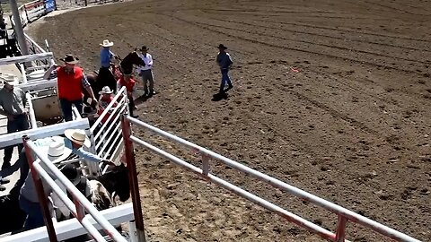 What To Expect For The Raymond Stampede | June 30, 2023 | Micah Quinn | Bridge City News
