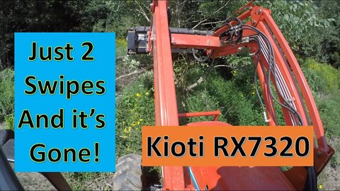 Taking down & uprooting a tree in just 2 swipes. Kioti RX7320 powershuttle