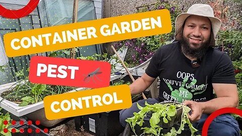 Small Garden Growing in Tiny Spaces - Pest Control