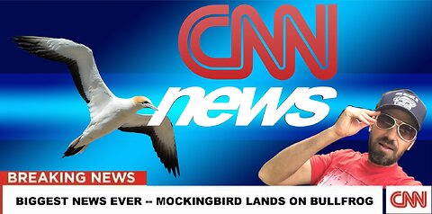 CNN Breaking News: Mockingbird Lands On Bullfrog